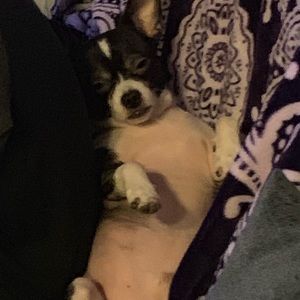 Meet your Posher, Liliana